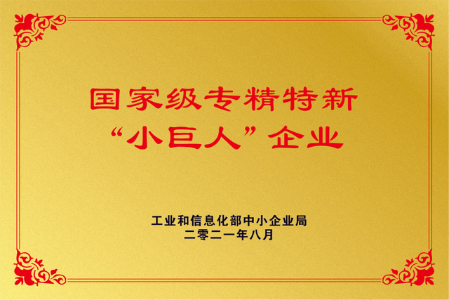 国家专精特新小巨人企业