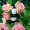 Perfum
